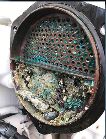 Cummins marine diesel heat exchanger clogged with marine growth during cooling system diagnosis by 805 Marine Diesel Mechanic Ventura Channel Islands Harbor